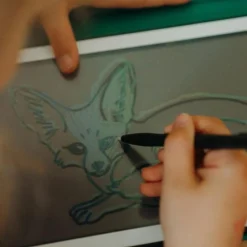 KIDYWOLF Recharge KIDYDRAW-MINI Thème : Pirates Princesses et Animaux Sauvages