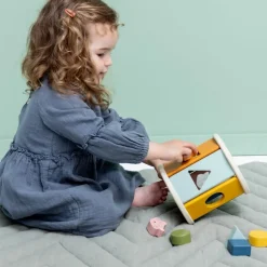 Rouleau à formes en bois Jouet À Encastrer