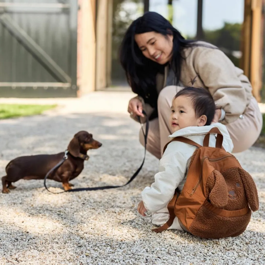 Jollein Sac à dos bébé Diego