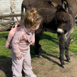 Childhome Sac à dos bébé My first bag rose (23 cm)