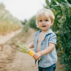 Discount Set de 24 patchs anti-moustique naturel Cosmétiques Pour Bébé