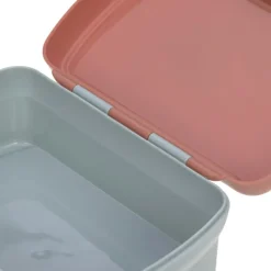 Lässig Set lunch box About Friends renard