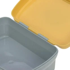 Lässig Set lunch box About Friends lion