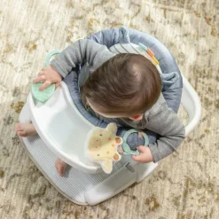 Ingenuity Siège d'apprentissage Casi le Zèbre