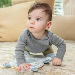 Ingenuity Siège d'apprentissage Casi le Zèbre