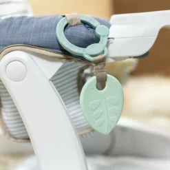 Ingenuity Siège d'apprentissage Casi le Zèbre