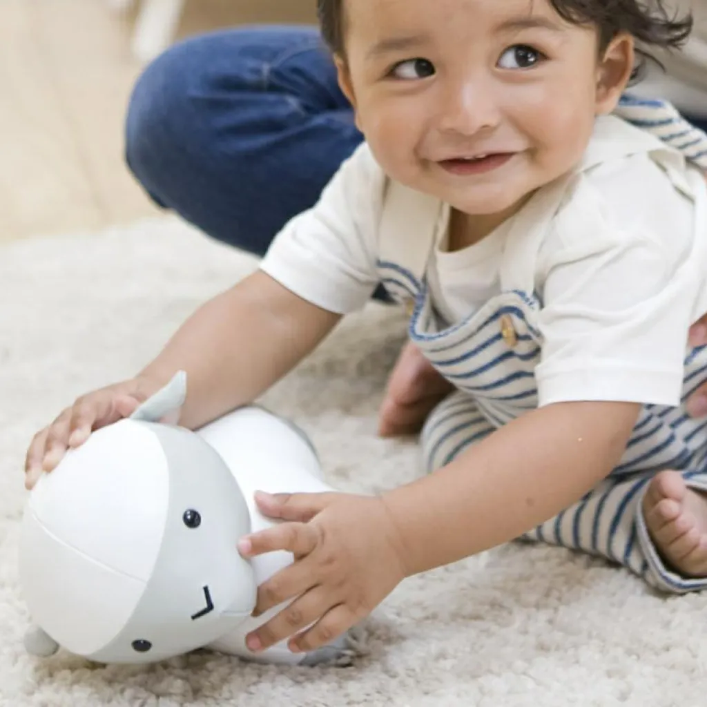 Best Simon le Mouton Les Animaux Musicaux Peluche Musicale