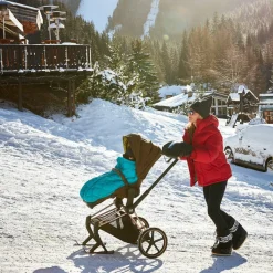 Cybex Skis pour poussette Priam et e-Priam Black