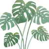 Lilipinso Sticker Feuilles de monstera