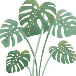 Lilipinso Sticker Feuilles de monstera