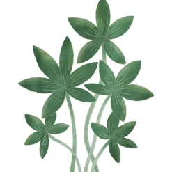 Online Sticker Végétations tropicales Stickers Muraux