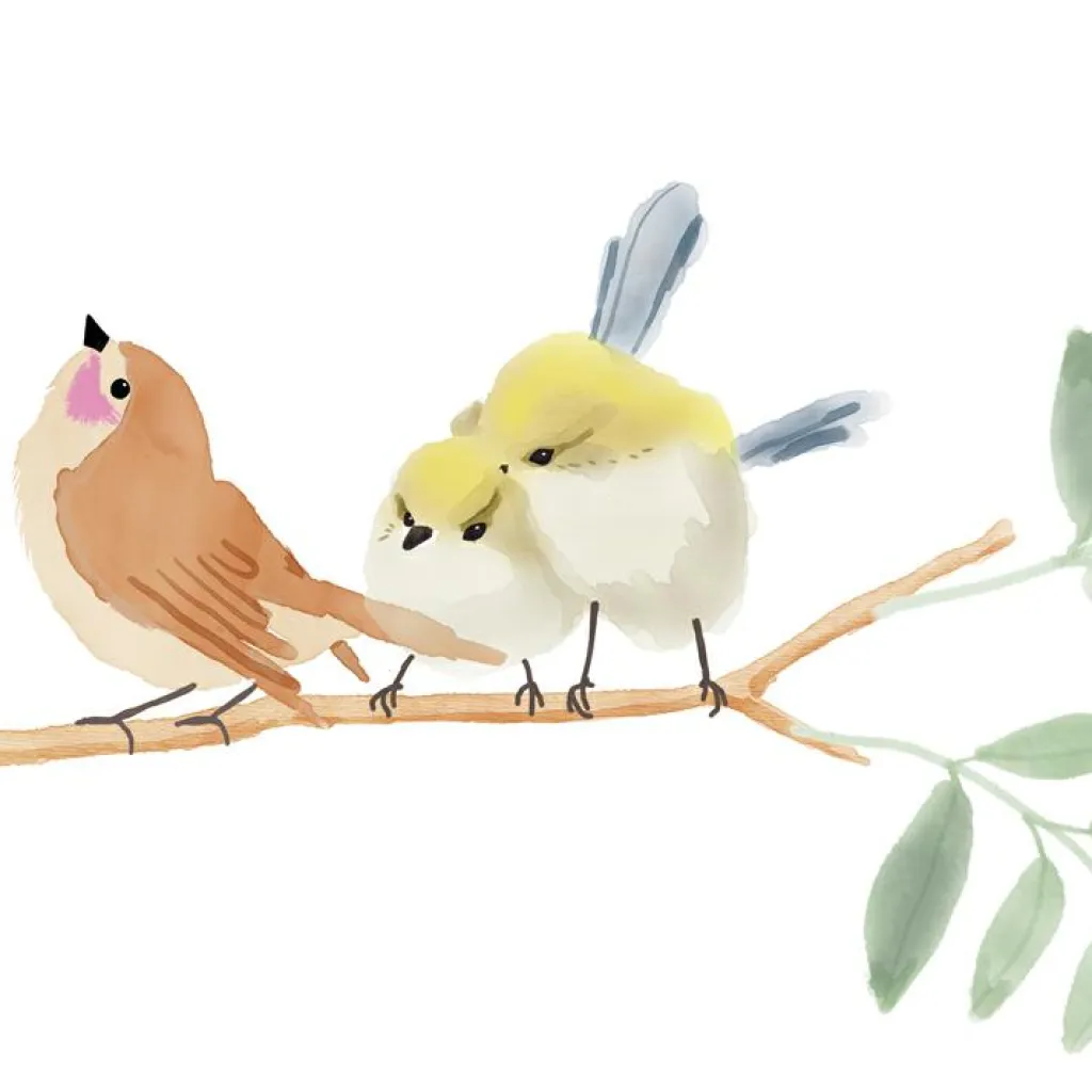 Discount Stickers Easy oiseaux (30 x 30 cm) Stickers Muraux