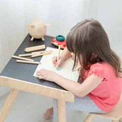 Plan Toys Table et chaise en bois