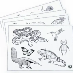 Moulin Roty Tablette lumineuse Kidywolf Tout autour du monde