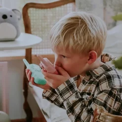 Lalarma Talkie-Walkie Vert (1 unité)