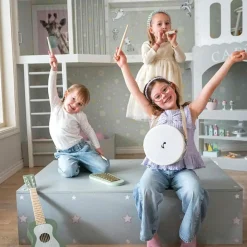 Tambourin Vert Instrument De Musique