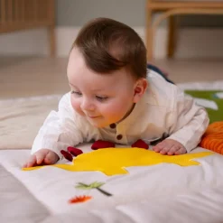 Little Big Friends Tapis de parc réversible Les Amis Dinos