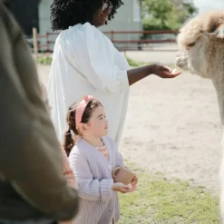Clearance Tasse à goûter Snack cup Blush Tasse