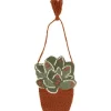 Nattiot Tenture murale Little Green Plante suspendue (20 x 30 cm)
