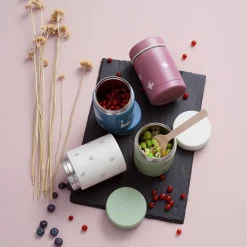 Hot Thermos alimentaire Swallow (300 ml) Thermos Alimentaire