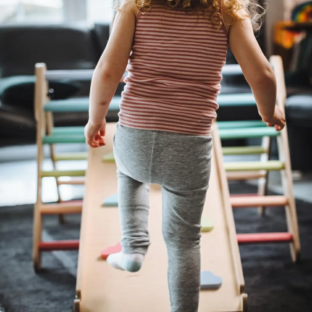 Tissi Toboggan et mur d'escalade 2 en 1 Pickler multicolore pastel