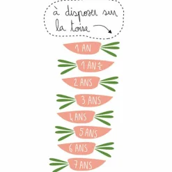 Mimi'lou Toise Lapins