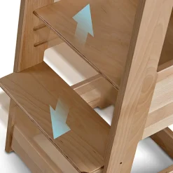 Tour d'apprentissage Felix Natural Tour D'Observation