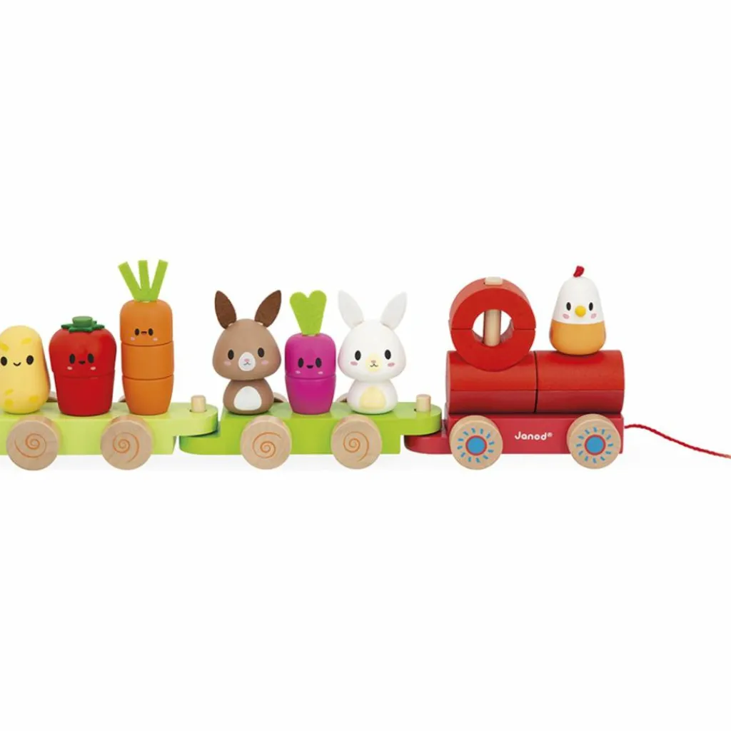 Janod Train d'activités à tirer Ferme