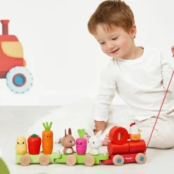 Janod Train d'activités à tirer Ferme