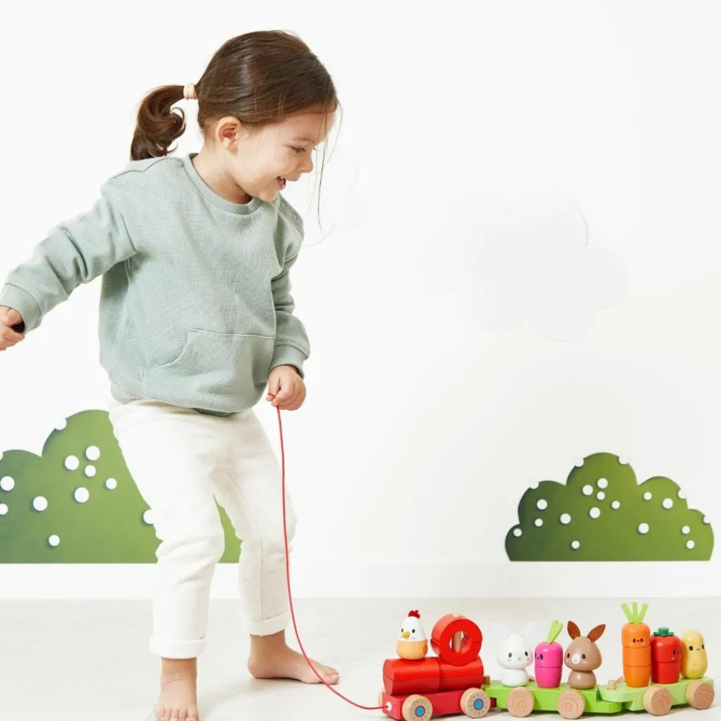 Janod Train d'activités à tirer Ferme