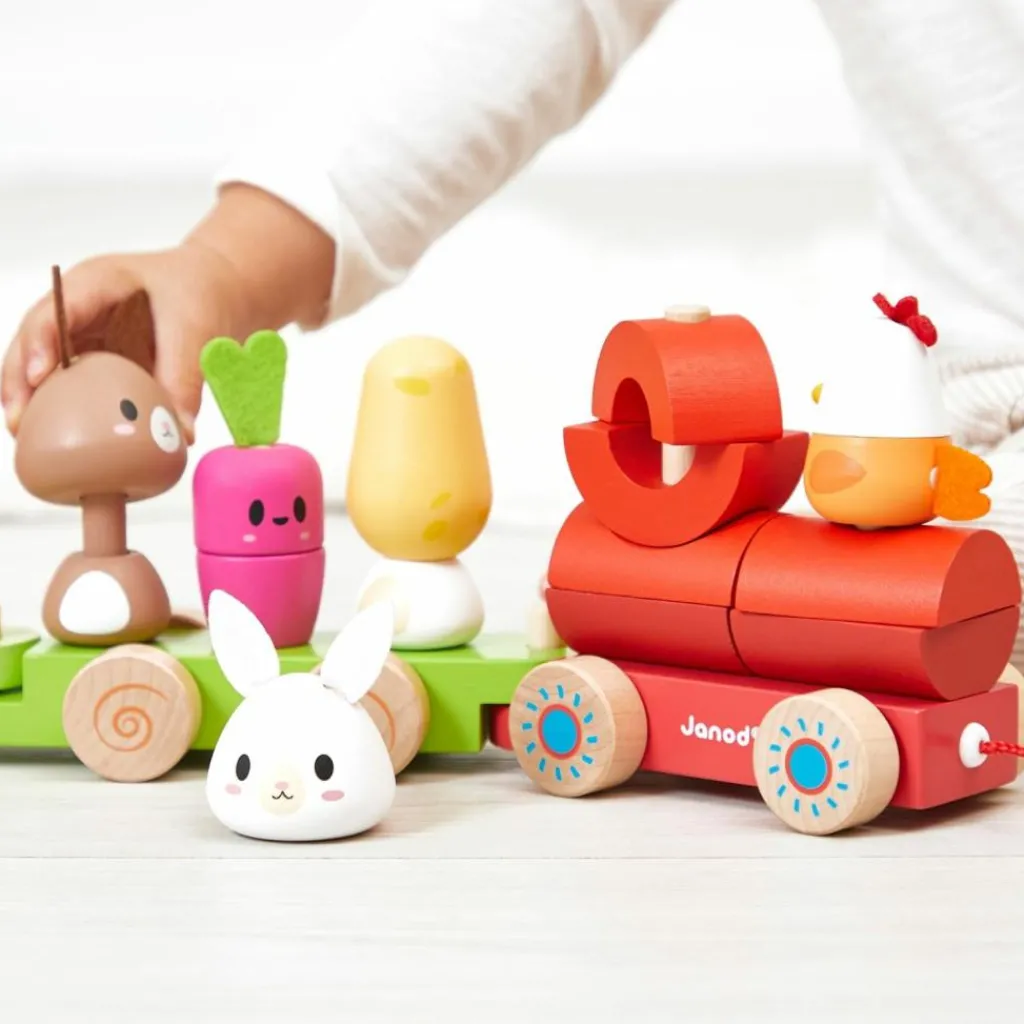 Janod Train d'activités à tirer Ferme