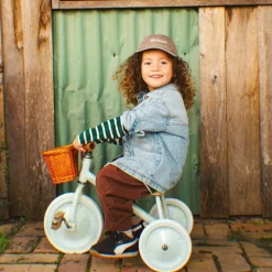 Best Tricycle évolutif Trike Forest Tricycle