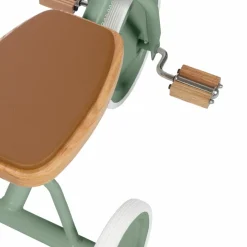 Best Tricycle évolutif Trike Forest Tricycle