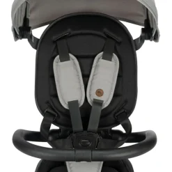 Bébé Confort Tricycle évolutif Windy Tinted Gray