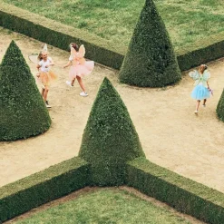 Hot Tutu princesse doré Rosaline (4-6 ans) Enfant Déguisement Enfant