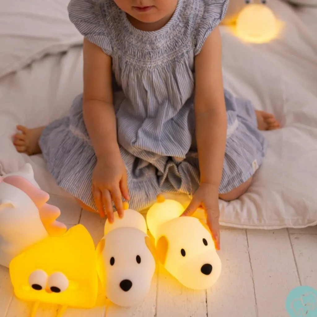 Mary's Veilleuse rechargeable Chien