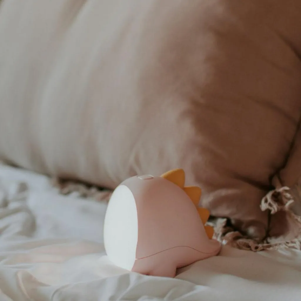 Mary's Veilleuse rechargeable Dino Rose