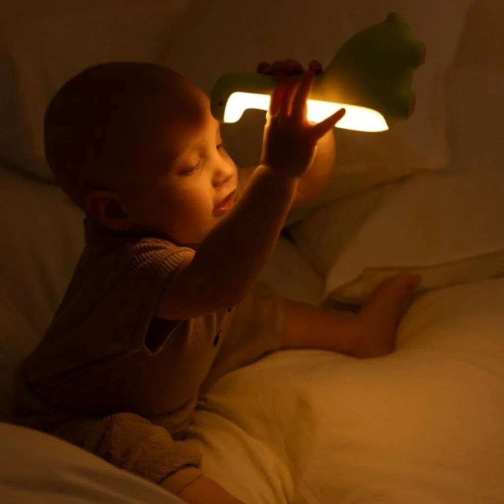 Mary's Veilleuse rechargeable Dinosaure