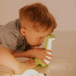 Mary's Veilleuse rechargeable Dinosaure