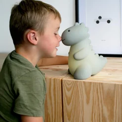 Best Veilleuse rechargeable Jéroom sauge (17 cm) Veilleuse Décorative